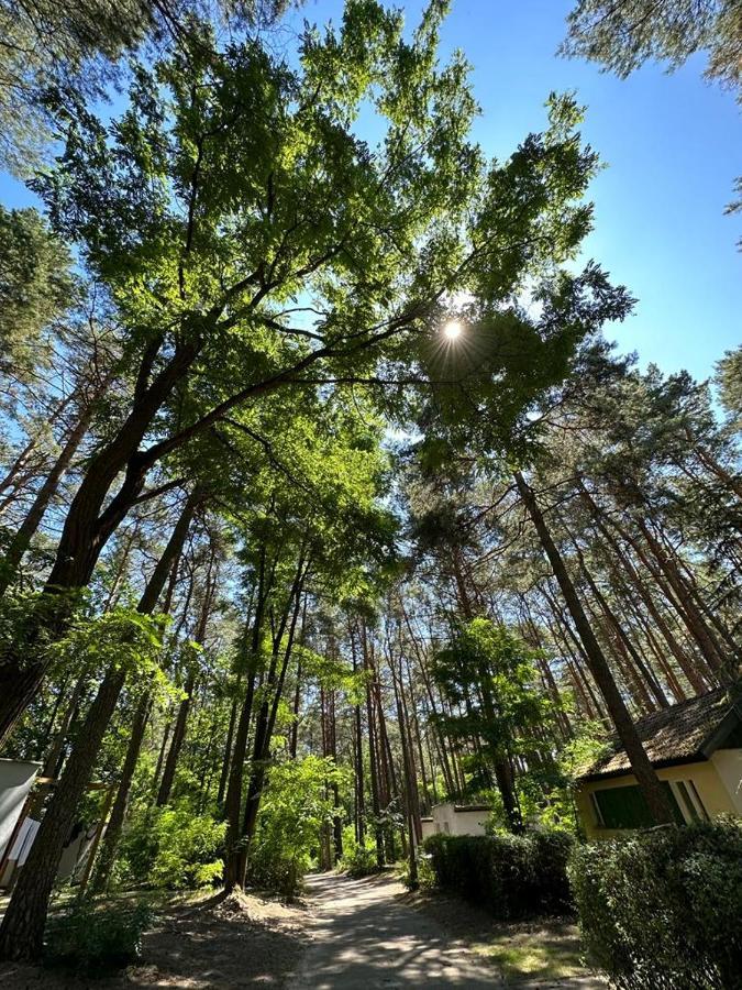 Summer House Lubniewice Exterior foto